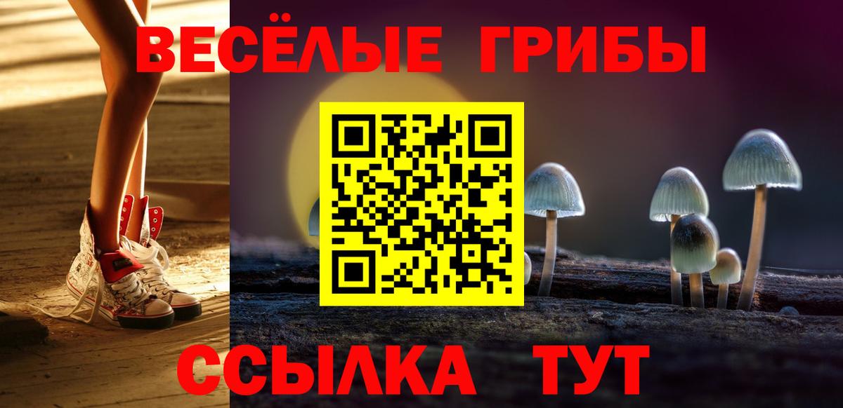 Псилоцибиновые грибы ЛСД Тара